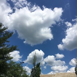 Meet your Posher, Hae lim